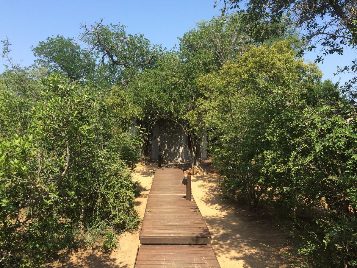 Leadwood Lodge Hoedspruit Exterior photo